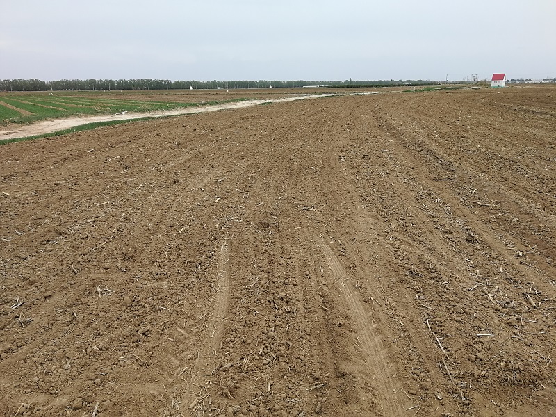 高智能土壤檢測(cè)儀讓土壤檢測(cè)更精準(zhǔn) 高智能土壤檢測(cè)儀讓土壤檢測(cè)更精準(zhǔn)