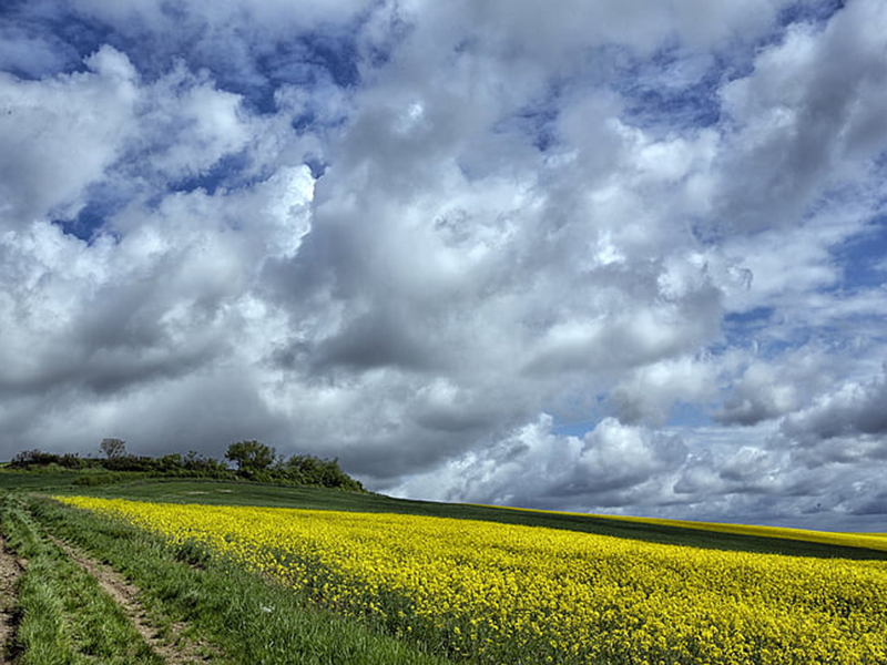 手持農業環境檢測儀可觀測哪些氣象要素 手持農業環境檢測儀可觀測哪些氣象要素