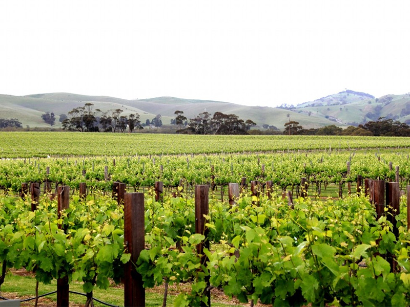 土壤肥料養分檢測儀 土壤肥料養分檢測儀