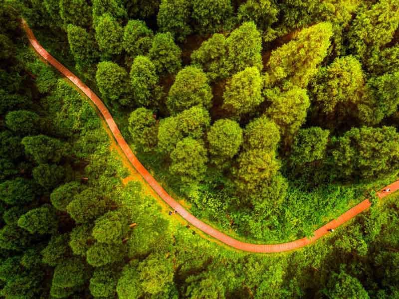 土壤肥料養分速測儀使用方法