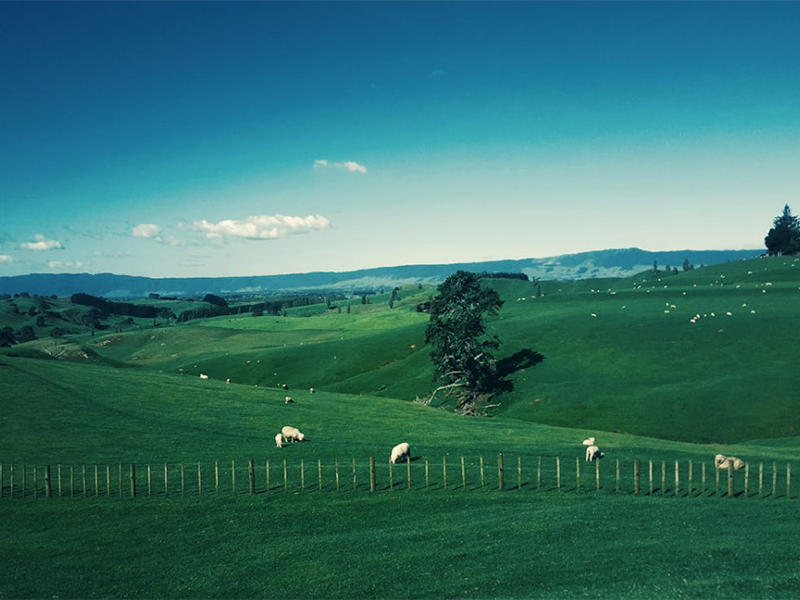 高智能土壤肥料養分檢測儀使用步驟