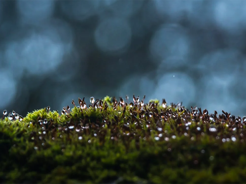 土壤電導率檢測的意義