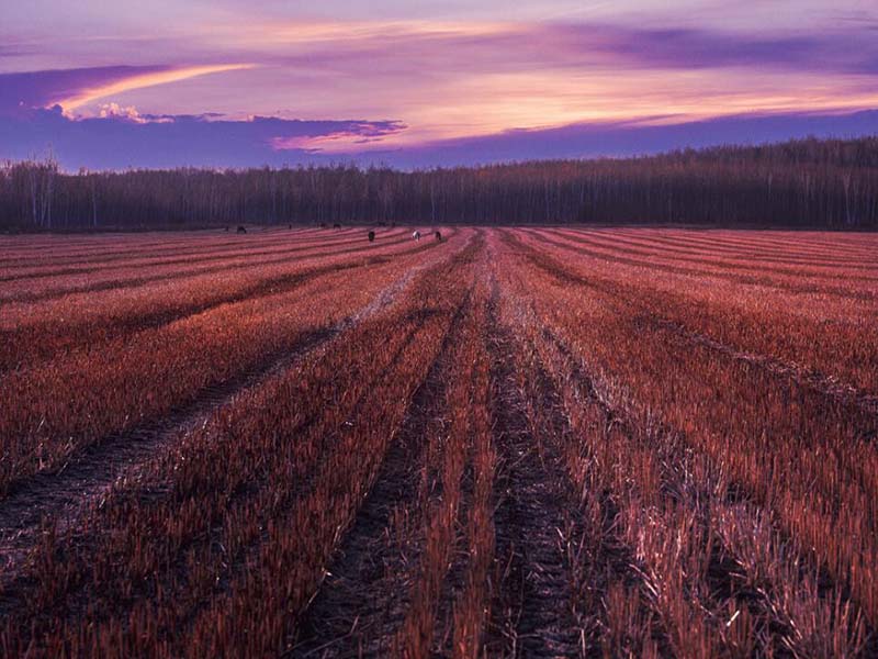 手持式土壤重金屬分析儀廠家