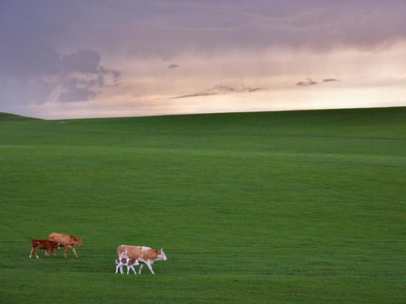 土壤總有機(jī)碳檢測(cè)的重要性