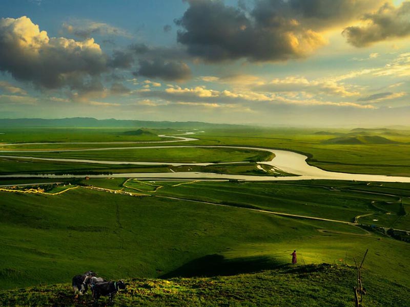 不同土壤檢測儀的適配場景