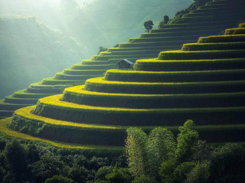 為什么土壤檢測采樣很關鍵