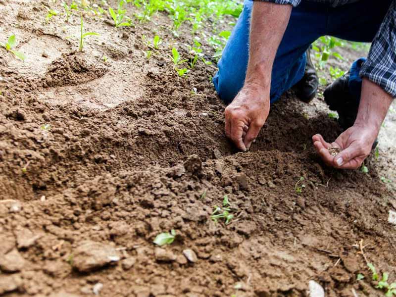 環境社會因素對土壤重金屬的影響