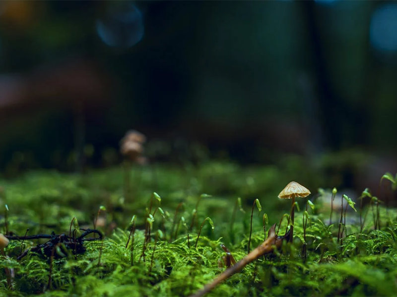 農(nóng)田土壤檢測頻率標(biāo)準(zhǔn)