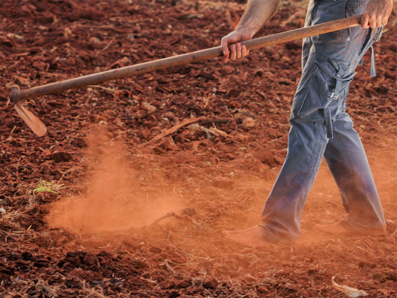 土壤有機(jī)質(zhì)檢測(cè)儀原理