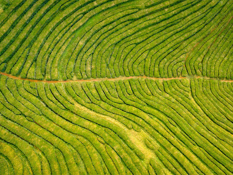 土壤檢測(cè)采樣常識(shí)