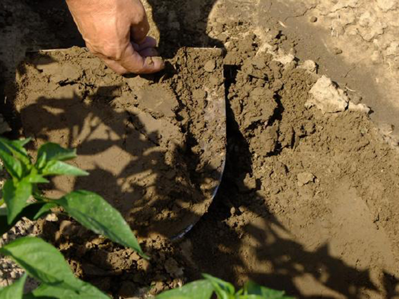 土壤養(yǎng)分測定儀 14.jpg