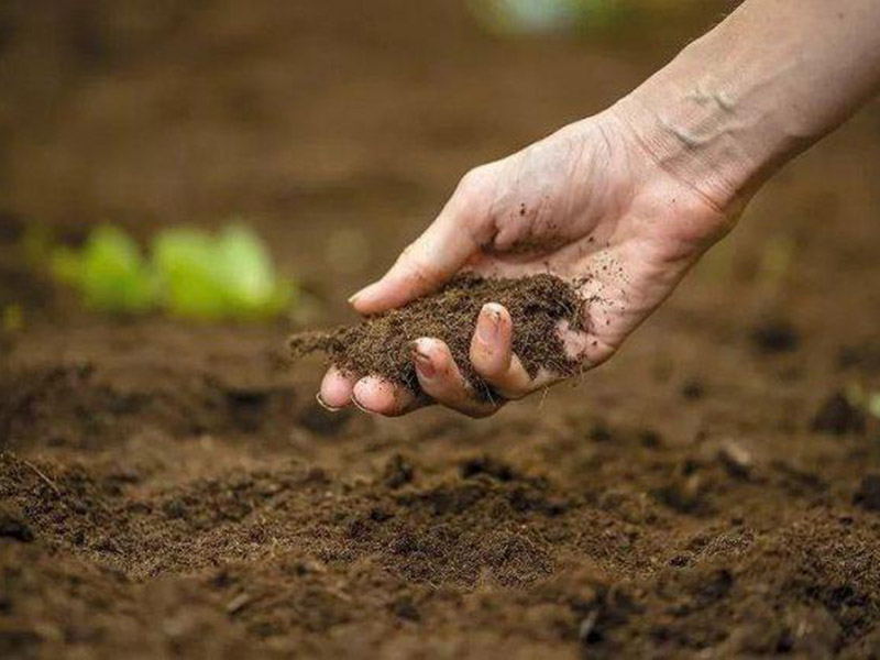 用土壤肥料養分快速測定儀測定土壤養分 14.jpg