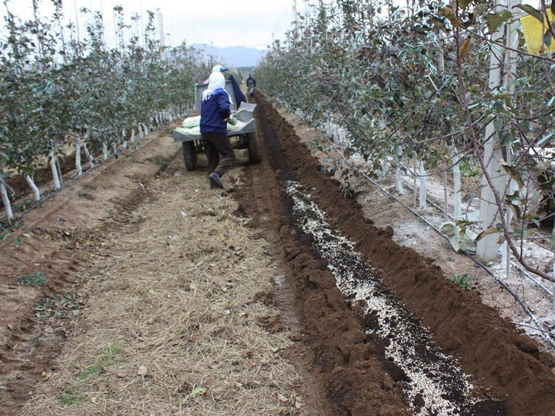 測土配方施肥儀助力農業生產 12.jpg